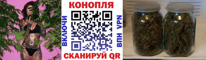 Купить  Полярные Зори  Конопля AK-47 